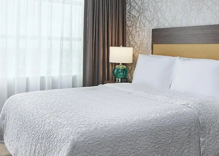 Home2 By Hilton Mccormick Place Hotel 3*
